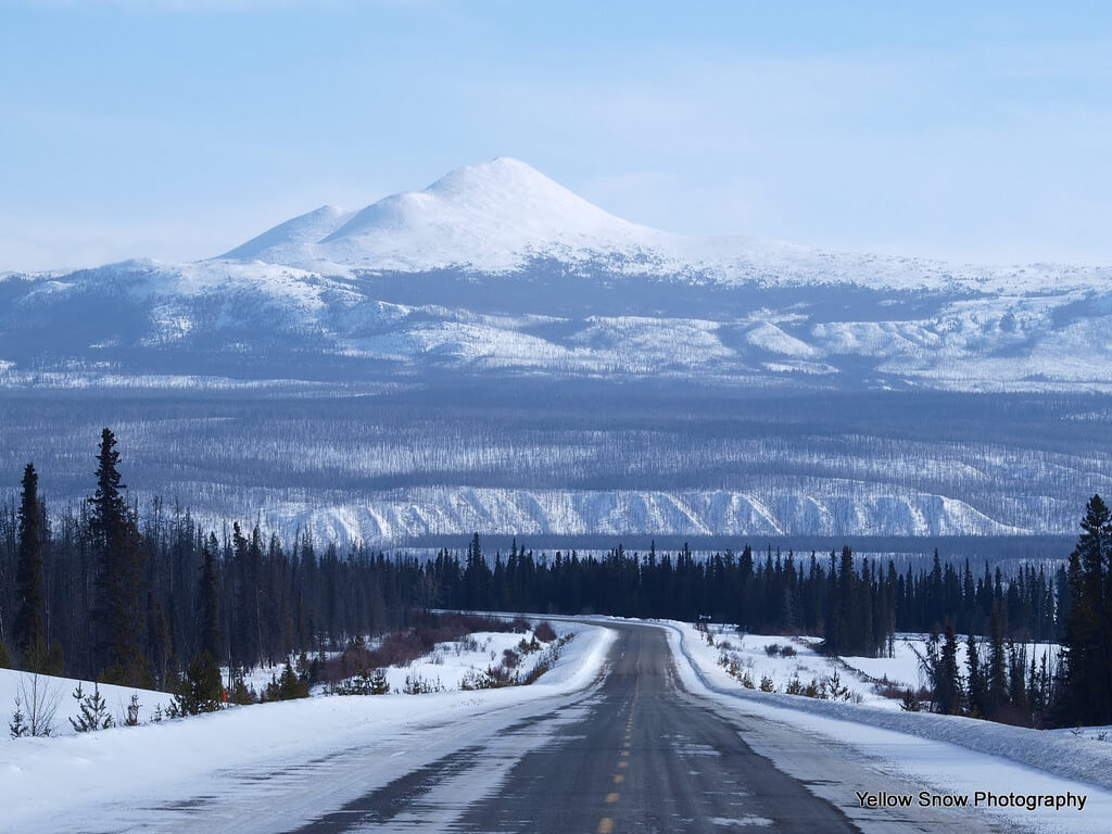 Presupuesto De Viaje En Alaska Precios Y Coste De La Vida En 21