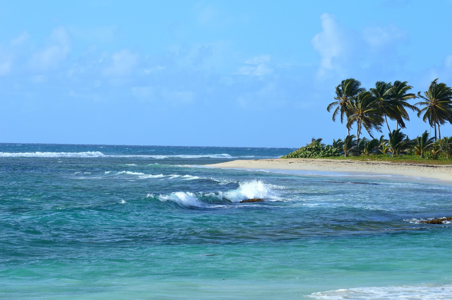 ¿Dónde Viajar En El Caribe En Diciembre 2024 Para Unas Vacaciones Al