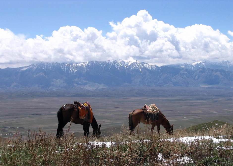 Clima en Naryn en Septiembre 2024 Tiempo, Temperatura y Clima en