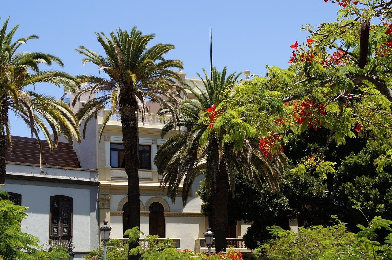 Cuando Ir a Santa Cruz de Tenerife Mejor Epoca Tiempo y Clima