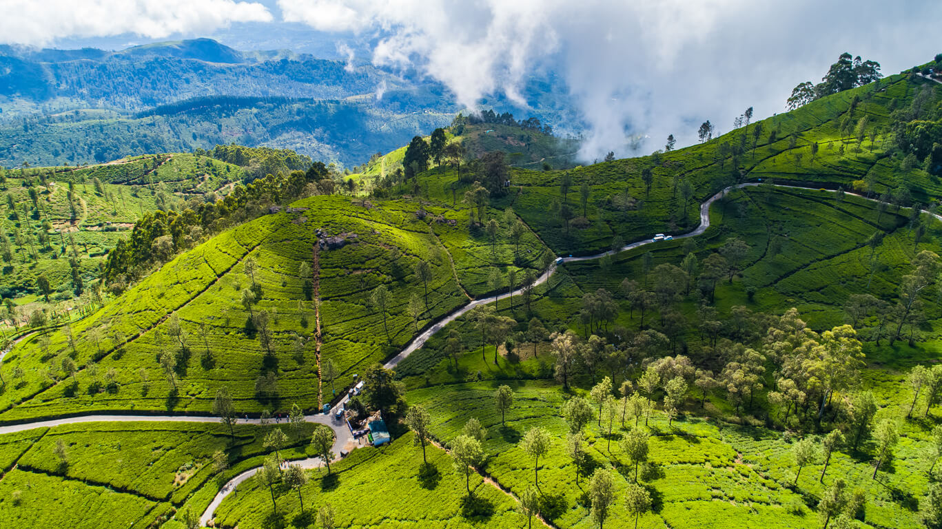 Clima En Sri Lanka En Abril 2024 Tiempo, Temperatura, Clima Y Dónde