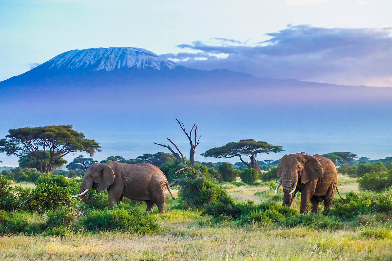 Clima en Tanzania en Abril 2025 Tiempo, Temperatura, Clima y Dónde Ir